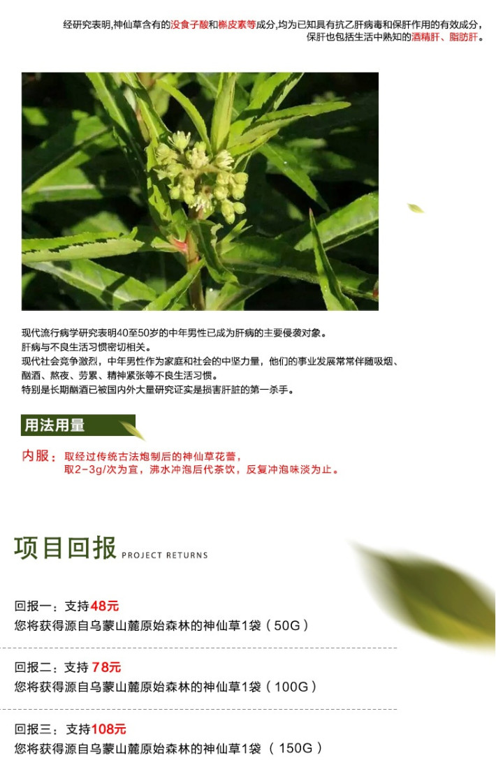 源自于乌蒙山麓原始森林:解酒护肝神仙草