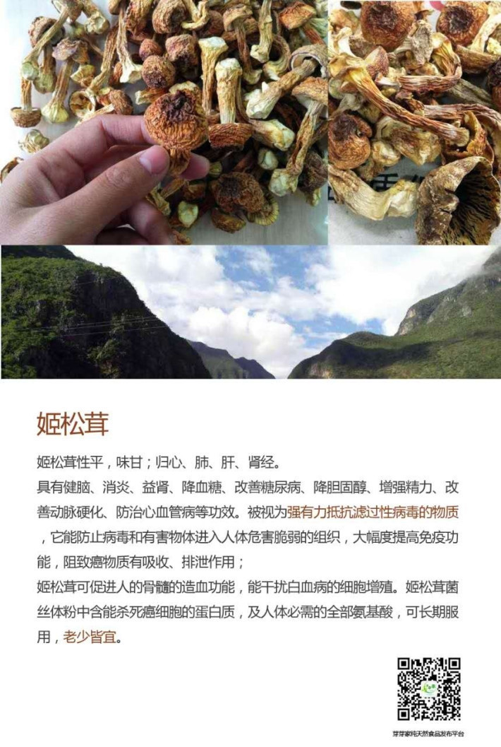 《舌尖上的中国》提到的那些云南野生菌 这里都有