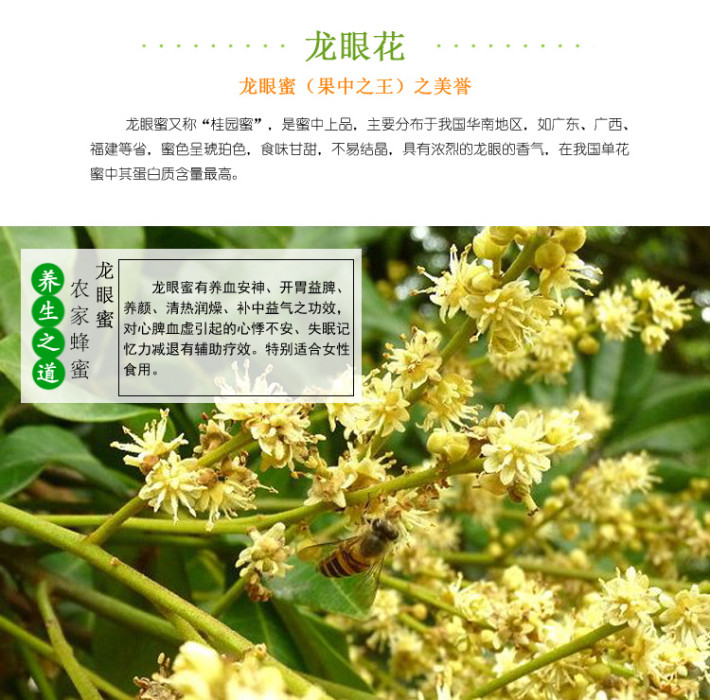 我与你的蜂蜜约定:踏遍长寿之乡,尽取长寿蜜