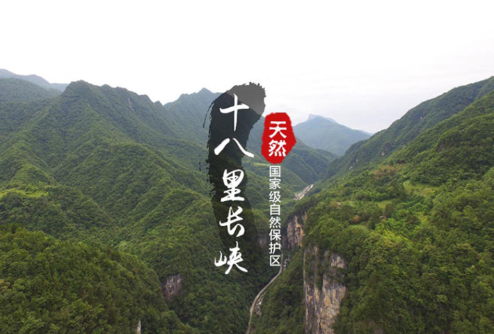 我的家乡,湖北十八里长峡国家级自然保护区,位于鄂西北偏远山区,海拔