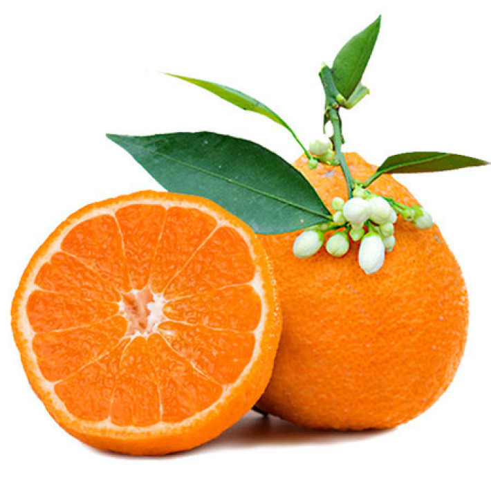 桔与橙的爱恋——蜜儿甜的黄果柑!(2期,更甜!