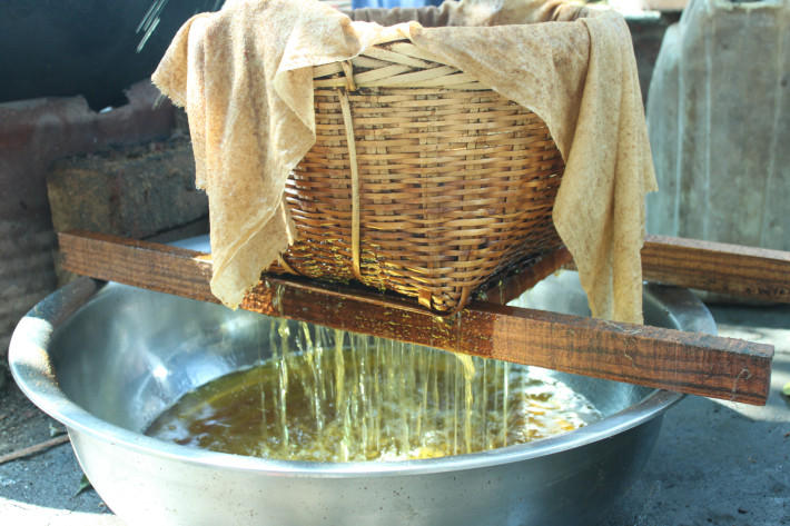 传统工艺压榨,来自深山的野生山茶油